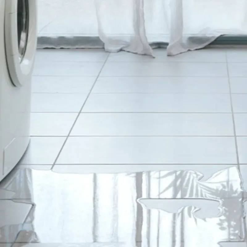 Appliance Leak Cleanup in Riverton, WA